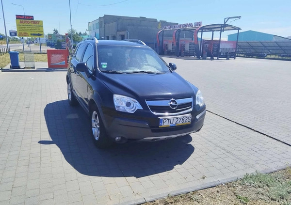 Opel Antara cena 18500 przebieg: 272000, rok produkcji 2008 z Turek małe 16